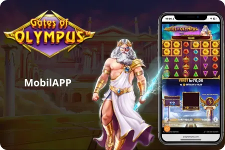 Mobil APP